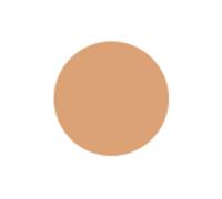Cellular Performance Total Finish Foundation TF 13 Warm Beige