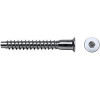 Celo Tornillo de ensamblaje para madera 9550Ene – Cabeza Allen 5x50 mm cincado, 250 unidades