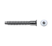 Celo Tornillo de ensamblaje para madera 9550Ene – Cabeza Allen 5x50 mm cincado, 250 unidades