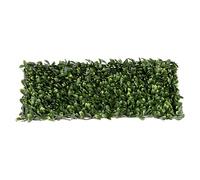 Celosía extensible Mimbre con Hojas de Laurel (2 x 1 m, Verde)