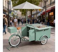 cendbirut Triciclo de Vending Móvil para Alimentos y Bebidas, Carro de Comida Callejera, Bicicleta de Vending Estable de Hierro con Sombrilla y Pedales, para Artistas y Vendedores de Comida,Style1,C