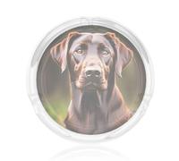 Cenicero de cristal redondo transparente con estampado de labrador retriever marrón, accesorio para fumar, para hogar, oficina, patio, decoración del hogar