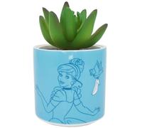 Cenicienta Maceta Unisex Artículos De Decoración Azul cerámica
