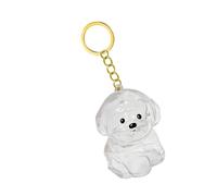 Cenifin Clear Pet Hair Memorial Llavero Keepsakes Box Perros Furs Coleccionista Soporte de Joyería Colgante para Amantes Accesorios Conmemorativos de Regalo Acessoires