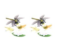 CENMEN 2X de Vida de una LibéLula Insectos Ciclos de Vida Modelo de Crecimiento NiñOs de Crecimiento Animal Juguetes Educativos