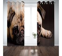 CENMEN 8 piezas M3 x 30 mm Guitarra eléctrica Humbucker Pickup de tornillo y muelles ajustable -