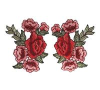 CENPEK 2 piezas de encaje floral 3D bordado apliques flores encaje parches tela Scrabooking parche costura para vestido decorado artesanía estilo A