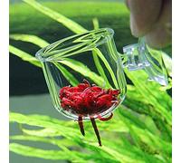 CENPEK 2 tazas de vidrio para acuario, taza de cono para plantas, salmuera, camarones, gusanos rojos vivos, alimentador de peces para acuarios con ventosa