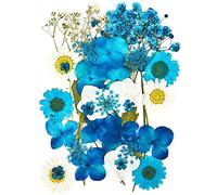 CENPEK Flores prensadas secas Flores secas Naturales Flores prensadas Reales Flores secas Coloridas para joyería de Resina Arte de uñas Artesanía DIY (Azul)