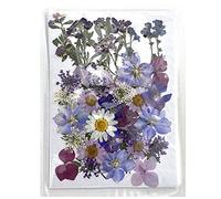 CENPEK Flores prensadas secas Flores secas Naturales Flores prensadas Reales Flores secas Coloridas para joyería de Resina Arte de uñas Artesanía DIY (púrpura)