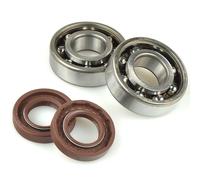 Centauro Juego de sellos de aceite del cigüeñal