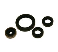 Centauro Kit de sellado de husillo de motor bajo