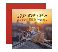 Central 23 Aniversario Tarjeta Gato Atardecer Pareja Amor Padres Familia Viene Con Pegatinas Regalo Aniversario Lindo Regalo
