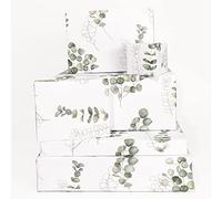 Central 23 - Bonito Papel de Regalo para Ella - 6 Hojas de Papel de Regalo - Para Hombres Mujeres - Eucalipto - Verde Blanco - Reciclable