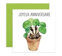 Central 23 Cartas Anniversaire Homme - Blaireau dans un Pot de Fleurs - Cadeau pour Garçon, Frère & Collègue - Motif Animal Mignon - Inclus Autocollants Amusants
