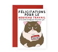 Central 23 Carte De Félicitations Pour Un Nouvel Emploi - TRAîTRE - Carte De Voeux Chat - Carte Depart Collegue - Carte D'Adieu Pour Femme Homme Humour - Livré Avec Autocollants - Par