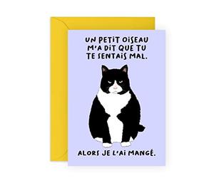Central 23 Carte de vœux chat pour homme et femme - un petit oiseau m'a dit que tu te sentais mal - Carte de bon rétablissement - Carte d'encouragement pour les amis - livré avec autocollants