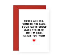 Central 23 Divertida tarjeta de aniversario para él - Your Farts Could Wake The Dead - Tarjetas de cumpleaños descaradas para hombres y mujeres - Regalos para marido, esposa, novio, novia - Viene con