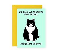 Central 23 Divertida Tarjeta de Felicitación para Mujer, Hombre- un pajarito. que te ibas - Tarjeta de despedida para Hijo o Hija - Tarjeta de Nuevo Trabajo - diseño de gato - con pegatinas