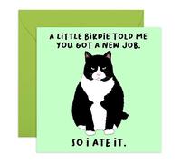 Central 23 - Divertida tarjeta de trabajo - A Little Birdie... New Job - Tarjeta de felicitación para ella - Viene con divertidas calcomanías