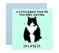 Central 23 Divertidas tarjetas de felicitación para hombre mujer - 'A Little Birdie... You Were Leaving' - Tarjeta de felicitación descarada - Despedida para colega - Viene con divertidas pegatinas