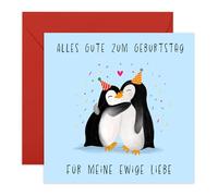 Central 23 Ehemann Geburtstagskarte Pinguin Liebe Romantisch Mann Partner Kommt Mit Aufklebern Geburtstagsgeschenk Jahrestagsgeschenk Süß Von