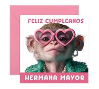 Central 23 Hermana Mayor Tarjeta Cumpleaños Mono Graciosa Divertida Mujer Chica Viene Con Pegatinas Regalo Cumpleaños Lindo Regalo