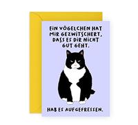 Central 23 Lustige Katze-Grußkarte für Männer Frauen - EIN VÖGELCHEN HAT MIR GEZWITSCHERT, DASS ES DIR NICHT GUT GEHT - Gute Besserung Karte - Ermutigungskarte - Geschenk für Freund - von