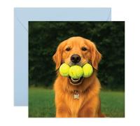 Central 23 - Tarjeta de cumpleaños divertida para perros con pelota de tenis, diseño de dibujos animados, linda tarjeta de cumpleaños de humor animal, para hombres, mujeres, niños, amigos, familia
