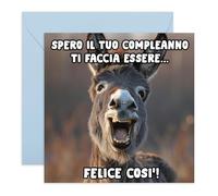 Central 23 - Tarjeta de felicitación de burro lindo y feliz - Tarjeta divertida y dulce para niños adultos él ella - Idea regalo animales para amigo amigo hombre mujer - Con pegatinas divertidas