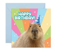 Central 23 Tarjeta de feliz cumpleaños para hombres y mujeres, Capybara con sombrero de fiesta, divertidas tarjetas de cumpleaños para él y ella, tarjeta de amiga, tarjetas de felicitación para mamá,