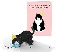 Central 23 Tarjeta Pop Up Gato - A Little Birdie Told Me It's Your Birthday - Tarjeta de cumpleaños 3D para hombre mujer - Para amantes de los gatos - Viene con pegatinas