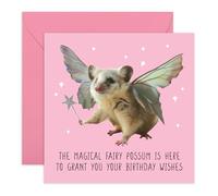 Central 23 Tarjetas de cumpleaños divertidas - 'Magical Fairy Opossum' - Tarjeta de feliz cumpleaños para amigos - Bonitas tarjetas de felicitación para niñas y mujeres - Regalos para perro mamá piel