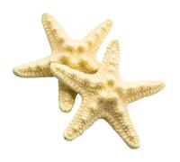 Central de cabello Resin Beach Sea Star Pins Cañadas de cabello Accesorios para mujeres Girls 2pcs