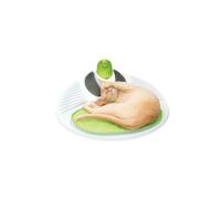 Centro de Bienestar Catit Senses 2.0 | 1 Unidad