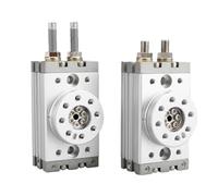 CENWQNZP 1 unids MSQB serie MSQB10A MSQB20A MSQB30A MSQB50A MSQB10R MSQB20R MSQB30R neumática mesa giratoria cilindro tipo piñón (MSQB20A)