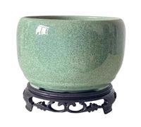 Cenz-888 Macetas para Plantas Las macetas Son adecuadas for Plantar Plantas como orquídeas, Cactus y Aloe Vera