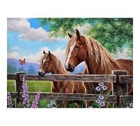 CEOVR Diamond Painting Caballos,5D Diamond Painting Kit Completo Granja, Pintura de Diamantes Arte 30x40 cm,Animales DIY Diamond Art Kits Adulto Principiante
