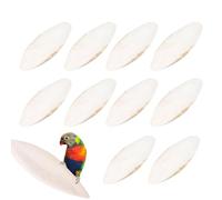 Cepa para pájaros -cutlebone para pájaros, huesos de razones para abrigo Kame -in | 10 piezas de hueso de calamar para masticar para tortugas de acuario, alimento para pájaros