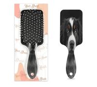Cepillo de pelo de perro de montaña bernés, diseño de animales, húmedo y seco, cepillo de pelo desenredante de plástico para niños y adultos, regalo de vuelta a la escuela, mujeres y hombres
