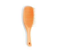 Cepillo De Pelo TANGLE TEEZER Detangler Mini Straight-Curly Azul Hielo Y Naranja