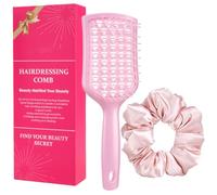 Cepillo desenredante para desenredar, cepillo antiestático con coleteros para cabello húmedo o seco, juego de cepillos de pelo ventilado
