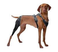 Ceprznvey Dog Leg Wrap, Rear Leg Brace, Dog Rehabilitation Brace, Ajustable Canine Care Ccl Brace, Rear Leg Braces, Dogs Back Leg Support, Back Leg Brace for Dogs Torn Rear Leg