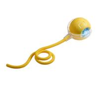 Ceprznvey Portable Cat Toy Ball, Interactive Kitten Toy, Fast Rolling Design, Automatic Teaser Tool for Energetic Pets, Sturdy TPU & Abs Material, 2.01 Inches Ball