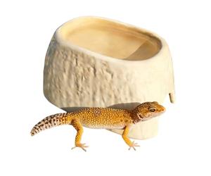 Ceramic Caves, Bearded Dragon Shelters, Purpose Habitat Decor with Easy Clean Feature, Sturdy Ceramic Shield, Lizard Hides with Natural Style, Indoor Retreat for Leopard Geckos