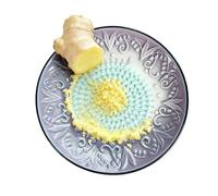 Ceramic Grater Plate - Garlic Ginger Grinding Dish, Embossed Ceramic Hand Grater for Garlic, Ginger, Cheese, Chocolate & Vegetables, Compact Kitchen Tool for Home Cooking, Picnic & BBQ Preparation