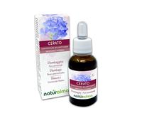 Cerato o Ceratostigma (Ceratostigma willmottianum) Remedios florales Naturalma - Gotas 30 ml - Extracto líquido sin alcohol - Esencias florales - Vegano y libre de alcohol