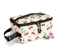 Cerbonny Bolsa térmica pequeña congelable, bolsa de almuerzo pequeña aislada con bolsa de hielo, mini bolsa térmica para el trabajo, escuela, viajes, apto para más de 3 años
