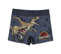 Cerdá Bañador bóxer gris Jurassic Park ropa textil baño infantil piscina playa