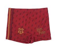 Cerdá - Bañadores para Niños de Harry Potter con Licencia Oficial Warner Bros